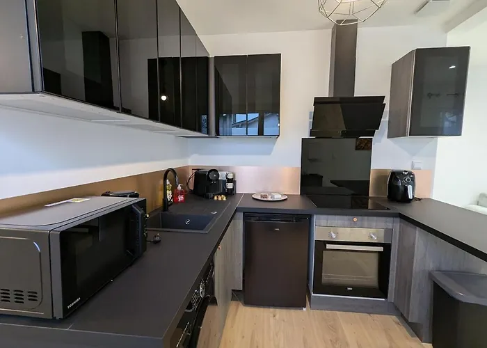 Le Chaleureux, T2 Avec Balcon Apartment Roanne
