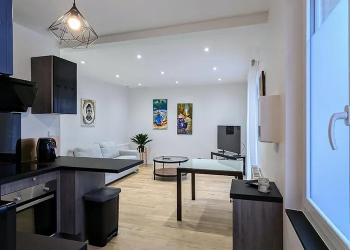 Le Chaleureux, T2 Avec Balcon Apartment Roanne